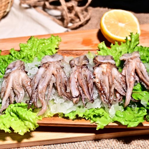 Fresh Frozen Squid Octopus